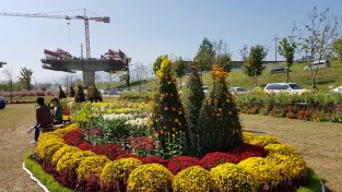 구미시농업기술센터, 우리꽃야생화 가을전시회 개최
