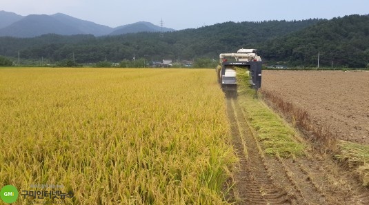고품질 쌀 생산을 위한 적기 벼베기 추진