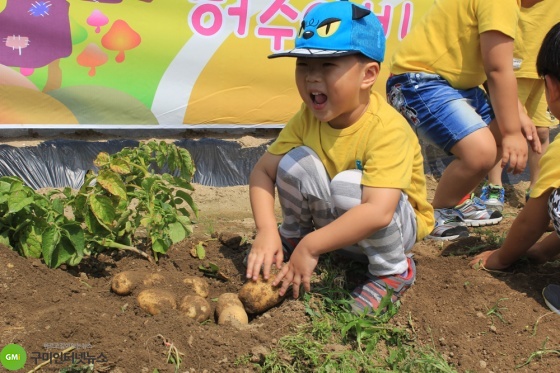 금오산찰쌀보리정보화마을 '감자캐기 농촌체험'